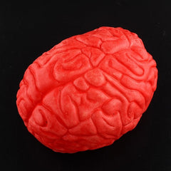 Props Lifesize Brain Haunted House