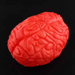 Props Lifesize Brain Haunted House